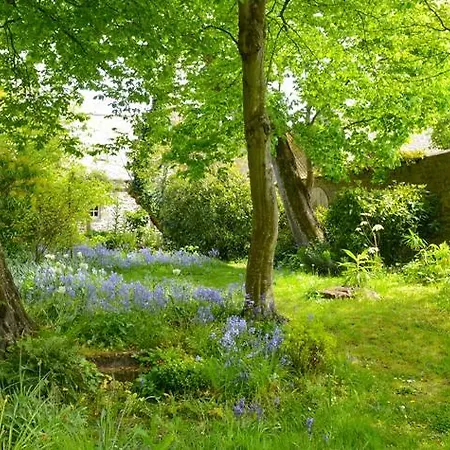 Logis Les Fuchsias 생 바스트 라 우게