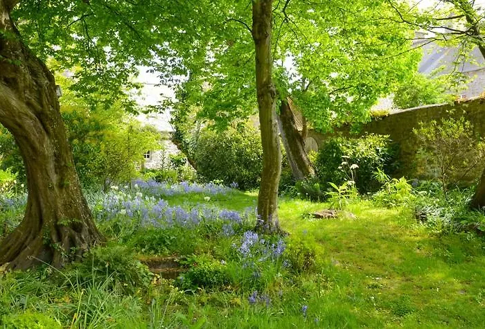 Logis Les Fuchsias Saint-Vaast-la-Hougue