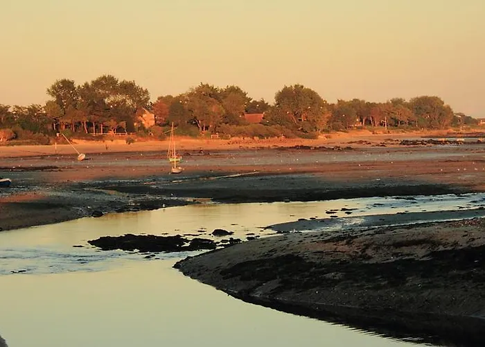 Hotel Logis Les Fuchsias